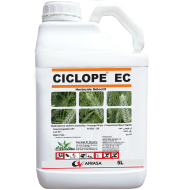 Ciclope EC