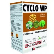 Cyclo WP