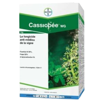 Cassiopee WG